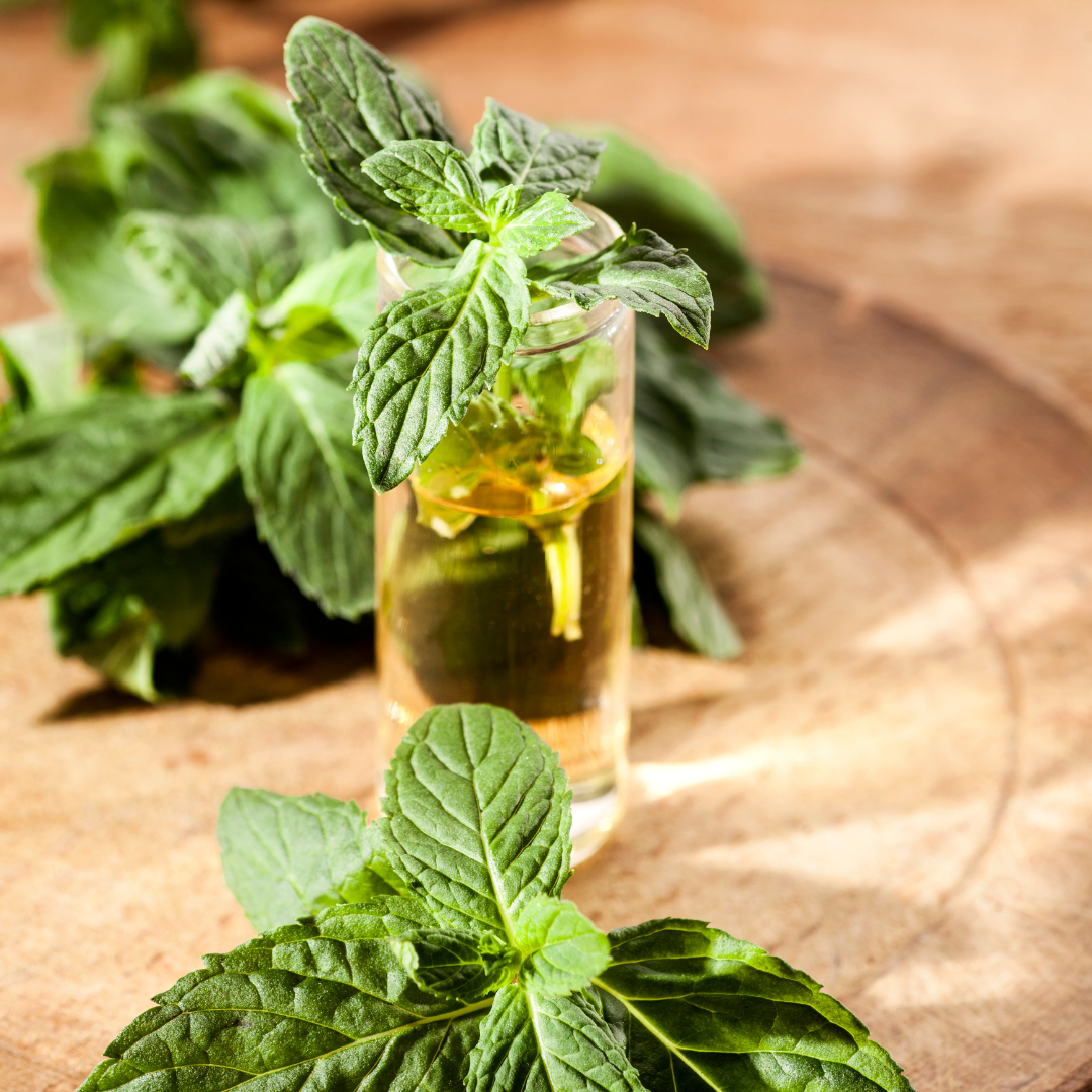 Nane Yağı - Arovela aromaterapi ürünü